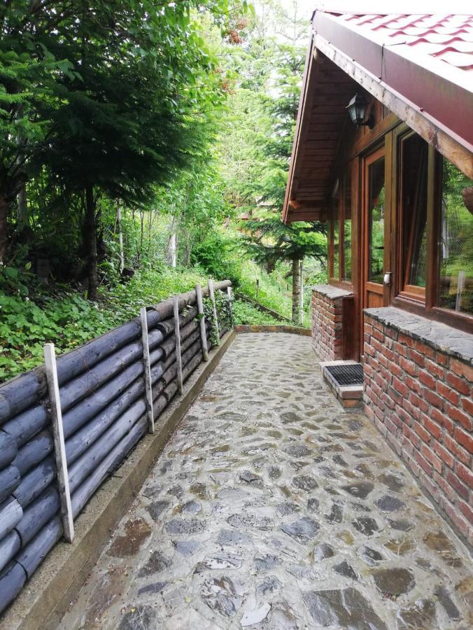 La Gabi Hotel Азуга Екстериор снимка